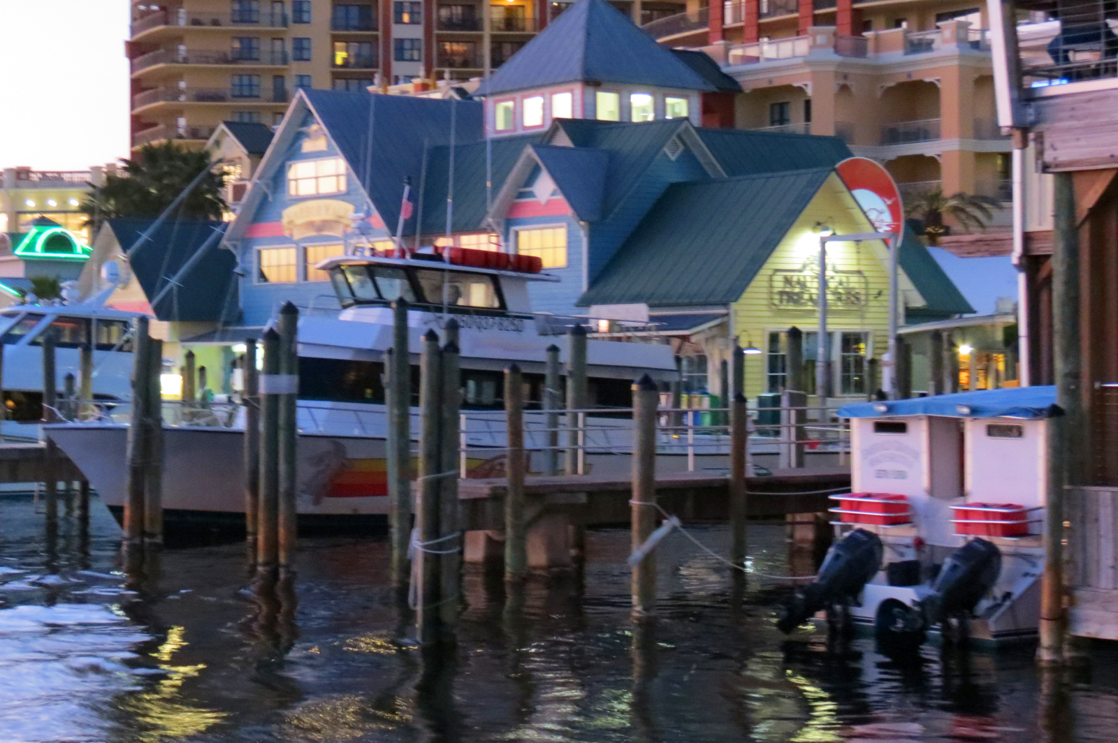 Dolphin Boat Tour, Destin Harbor, Florida