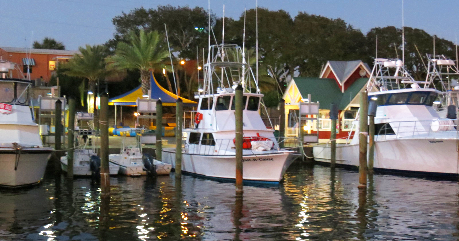 Dolphin Boat Tour, Destin Harbor, Florida