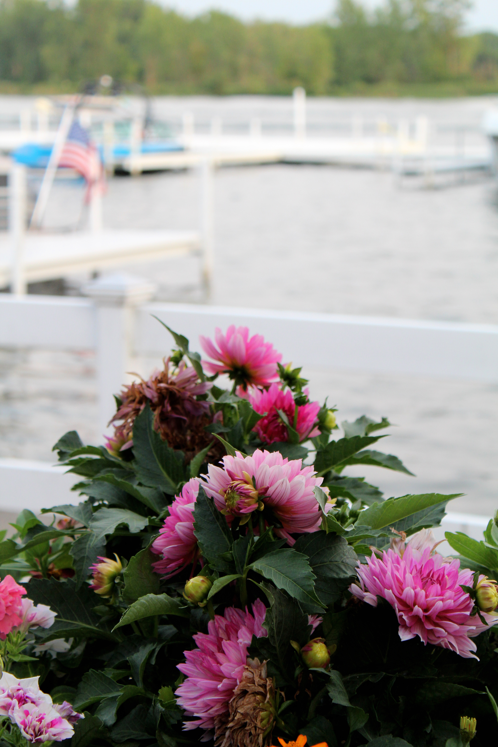 The Pier and Back Porch, Oakwood Resort, Lake Wawasee, Midlife Snowbirda