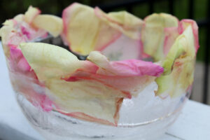 Rose petal ice bowl Midlife Snowbird
