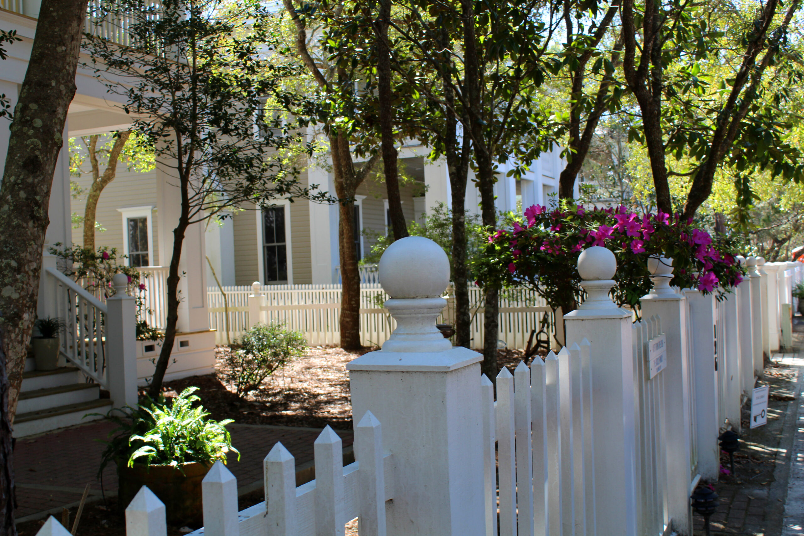 Seaside Florida Midlife Snowbird