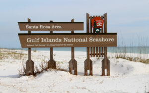 Gulf Islands National Seashore Midlife Snowbird