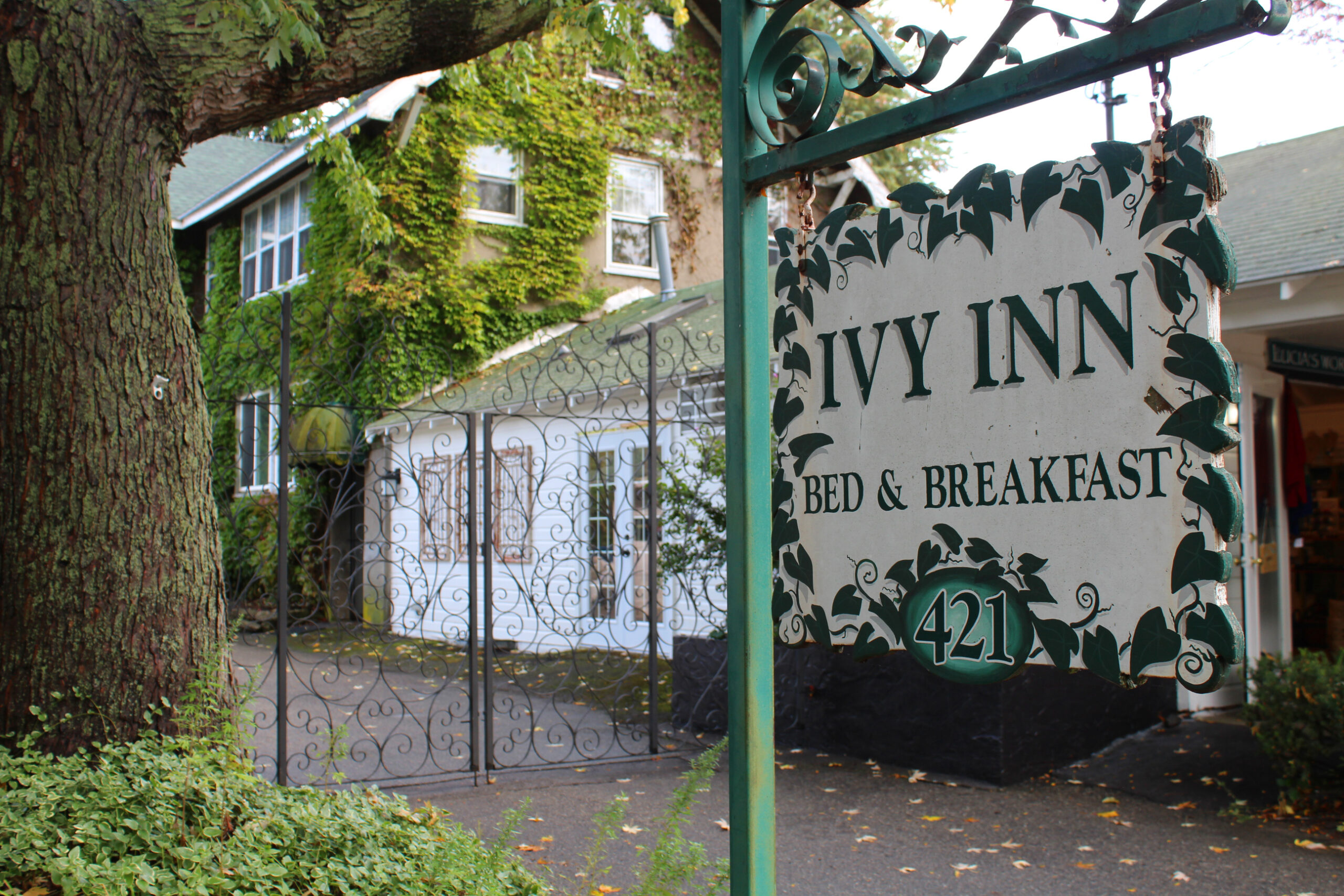 Tucked between retail shops, the Ivy Inn on Water Street looks like the setting of a romance novel