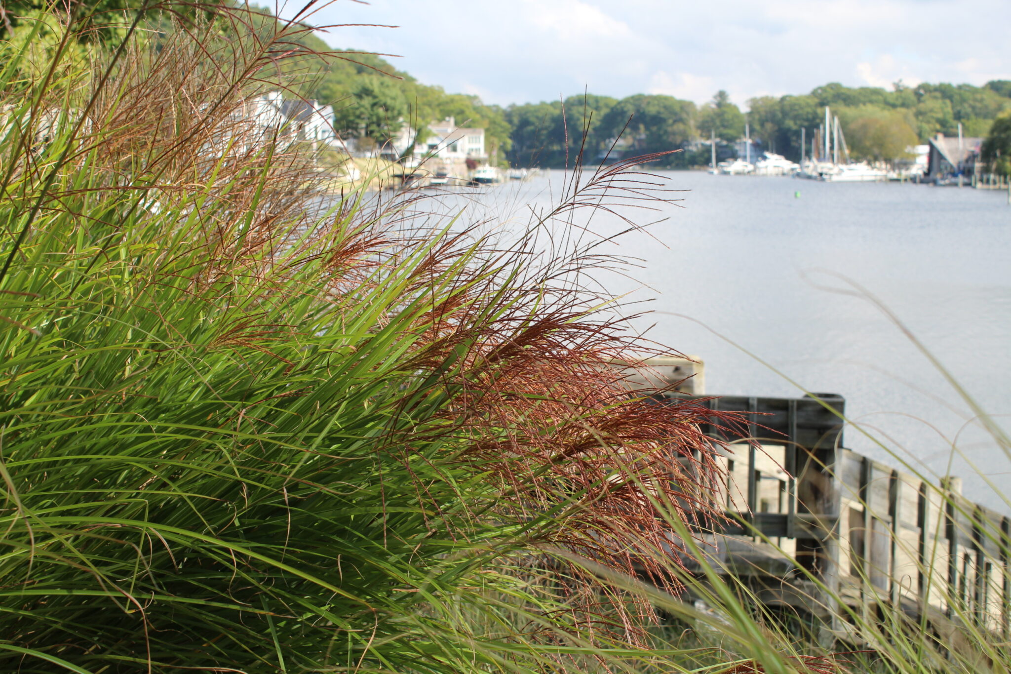 Autumn Tour of Saugatuck on Lake Michigan's Coast - Midlife Snowbird